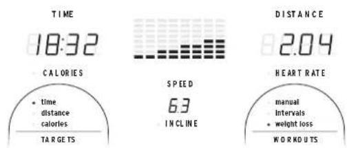Horizon Fitness GS950T - DiSPLAY WinDoWS - 1