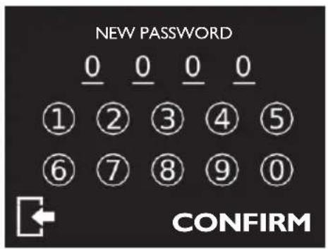 EUREKA Maxxi - PASSWORD - 2