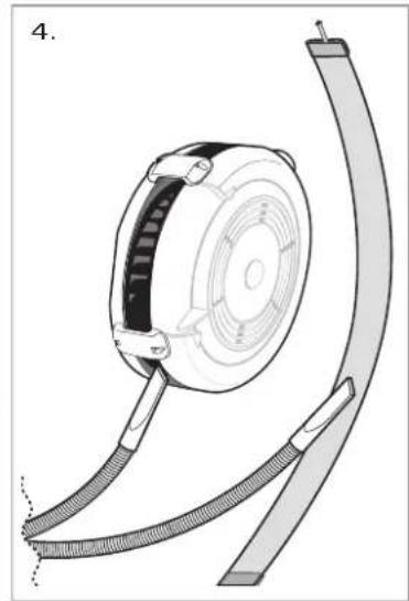 Concept2 SkiErg 2 - Tasatyöntöteknikka - 5