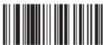 Aplic 302614 - Barcode settings - 41