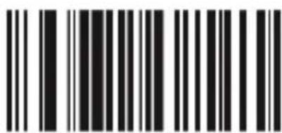 Aplic 302614 - Scan-Ton - 1