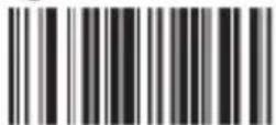 Aplic 302614 - Barcode settings - 37