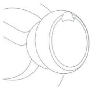 Avalon A2 - Operation Instructions - 1