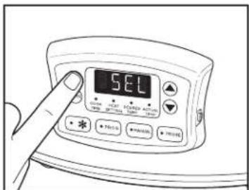 HAMILTON BEACH Set & Forget 33962 - How to Use Slow Cooker - 3