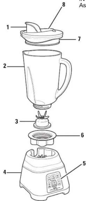 HAMILTON BEACH 56202 - Parts and Features - 1