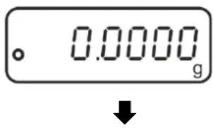 。 0.0000 g