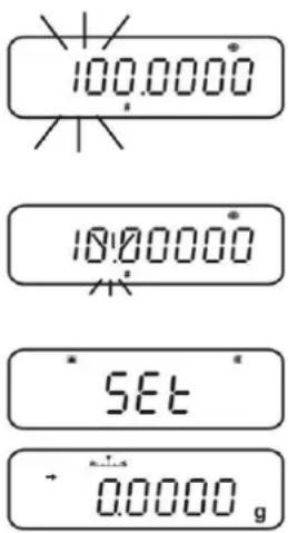 100.0000 10100000 SET + 0.0000 g