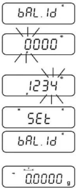 BAL.Id 0000 1234 SET BAL.Id 00000 g