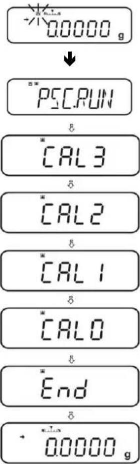 0.0000 g PSC.PUN CAL3 CAL2 CAL1 CAL0 End + 0.0000 g