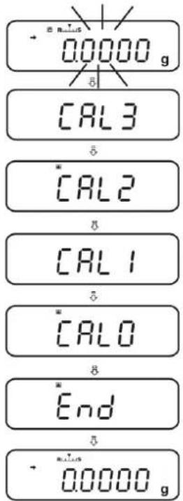 + R=0.0000 g CAL3 * CAL2 CAL1 * CAL0 * End + 0.0000 g