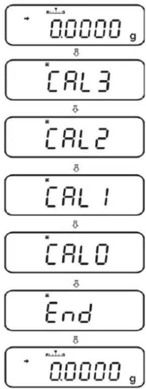 + 0.0000 g * CAL3 * CAL2 * CAL1 * CAL0 * End + 0.0000 g