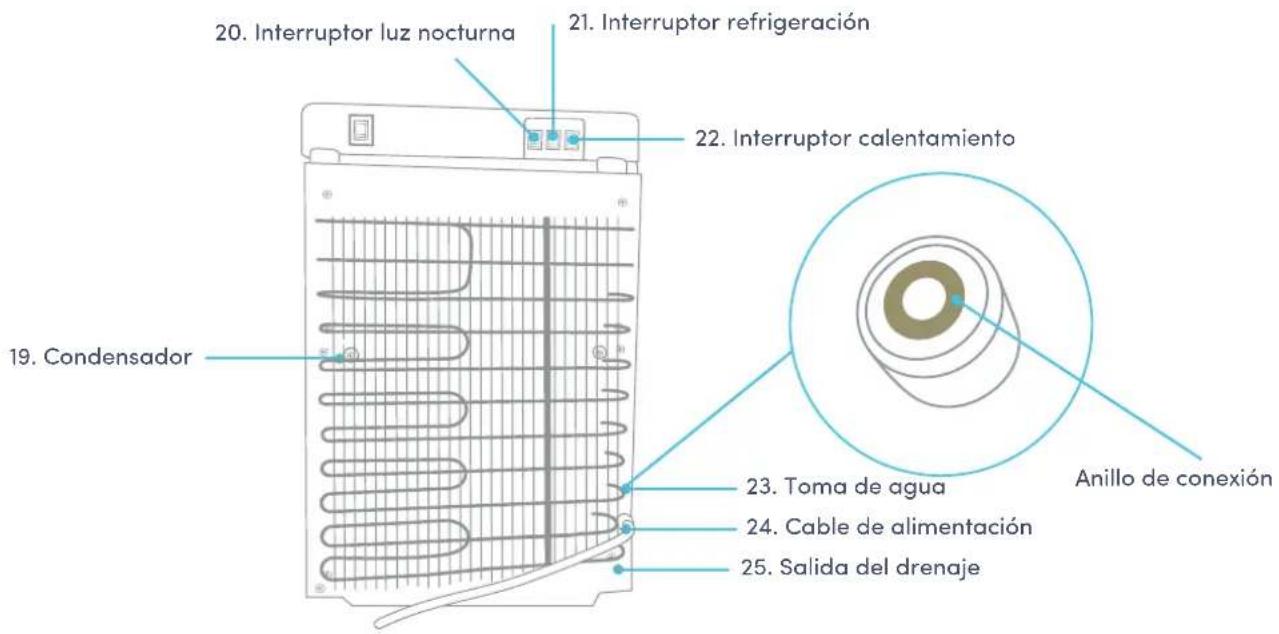 Avalon A13CT - Nombres de los componentes - 2