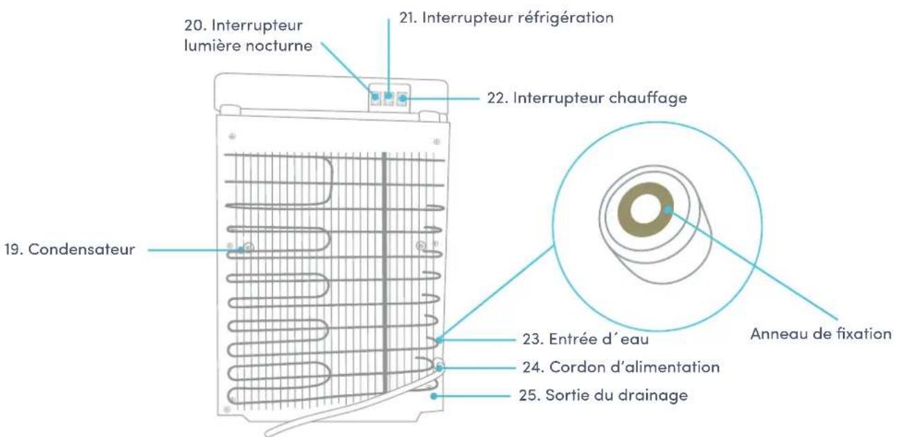 Avalon A13CT - Noms des composants - 2