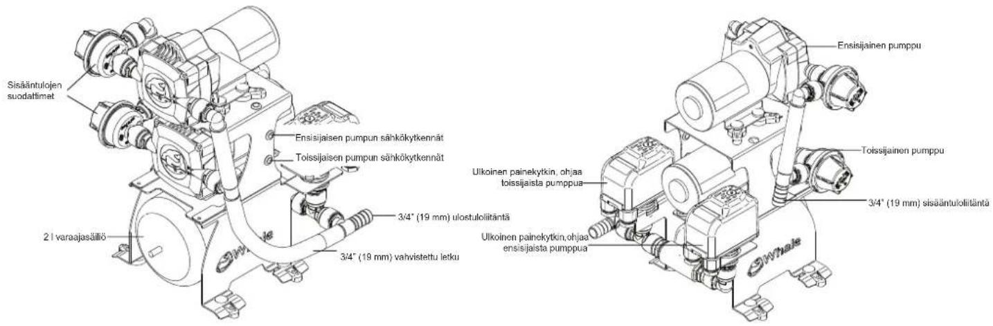 Whale UF2415B - GARANZIA - 1
