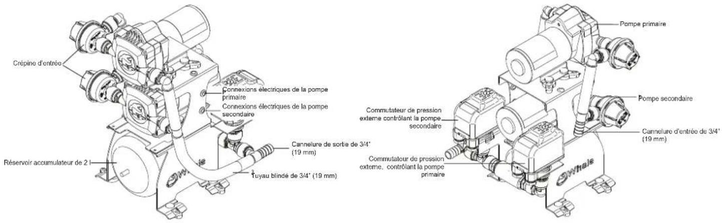 Whale UF2415B - AVERTISSEMENTS - 1
