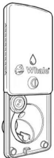 Whale Water Out Socket - 1