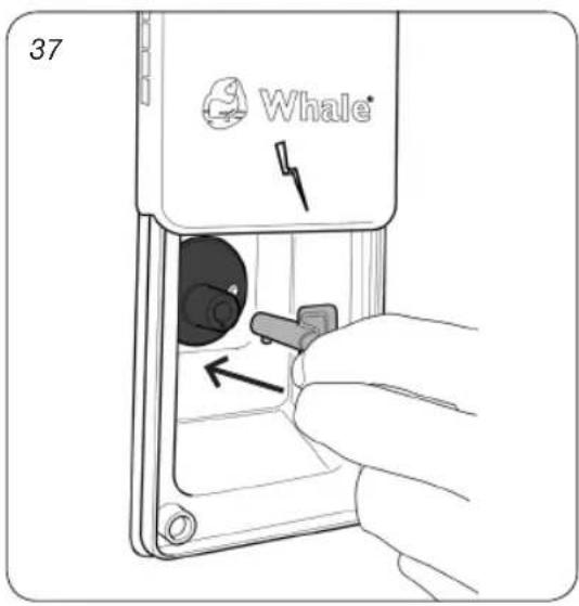 Whale Isolator Switch Socket - Operation - 2