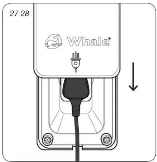 Whale Isolator Switch Socket - Operation - 4