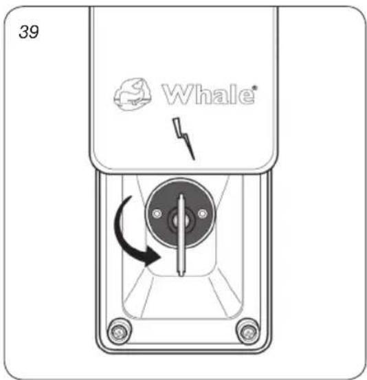 Whale Isolator Switch Socket - Operation - 4