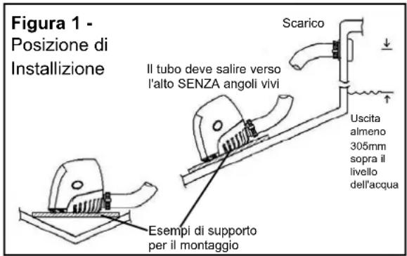 Whale Orca 3000 - Posizionamento - 1
