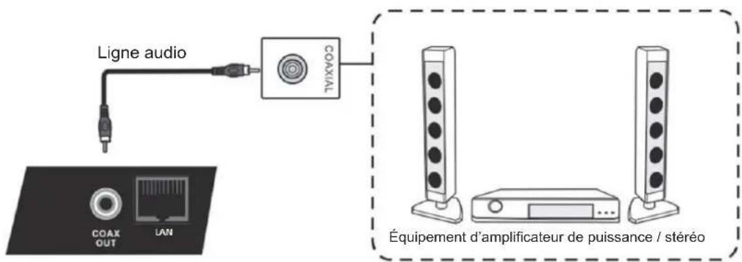VIEWSONIC CDE8451 - Connexions d'un microphone - 1