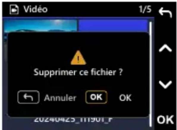 Supprimer ce fichier ? Annuler OK OK 20240425_111901_F