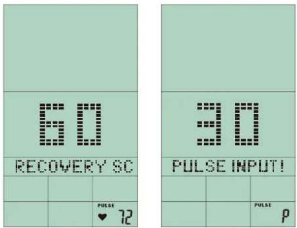 Sole Fitness ST600 - RECOVERY (récupération) - 1