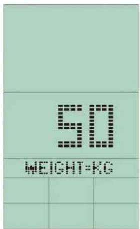 Sole Fitness ST600 - ALIMENTATION - 7