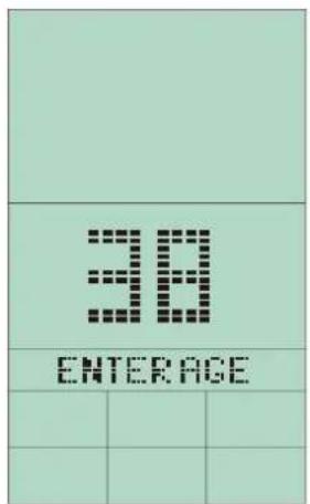 Sole Fitness ST600 - ALIMENTATION - 5