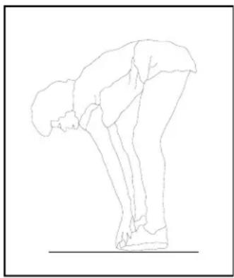 Sole Fitness SRW250 - Étirement des tendons du jarret - 2