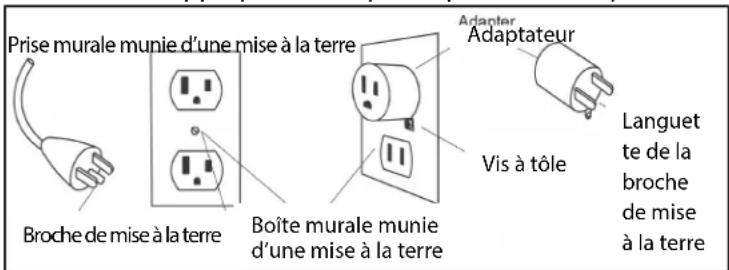 Sole Fitness S77 - RENSEIGNEMENTS SUR LA MISE À LA TERRE - 1