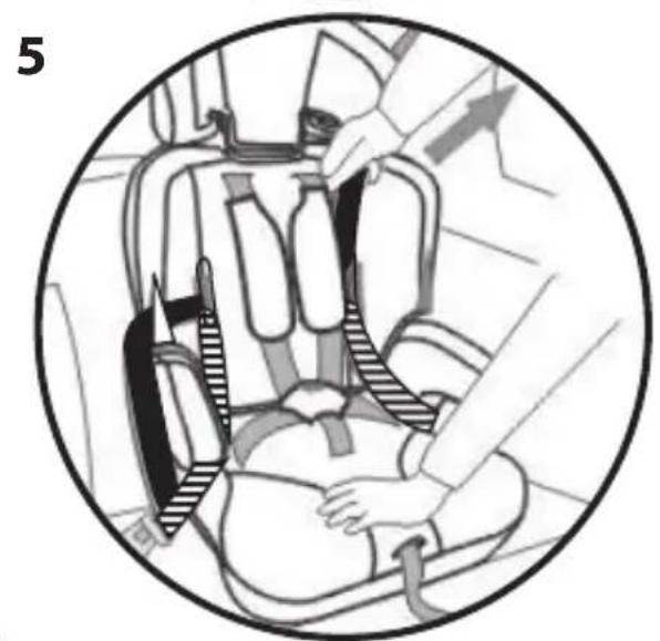 BEBE CONFORT Ever Safe+ - EN GROUP 1: USING THE BOOSTER WITH BACK AND 5-POINT HARNESS - 5