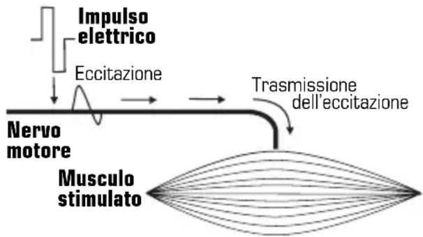 COMPEX Vitality - Elettrostimolazione del nervo motorio (ESM) - 1