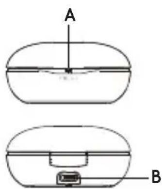 A B