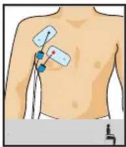 COMPEX One - Define tus pectorales - 1