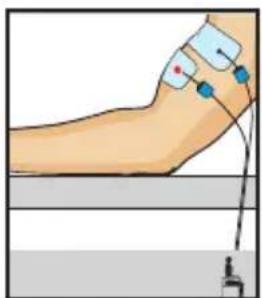 COMPEX One - Développer mes biceps - 1