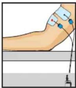 COMPEX One - Build your biceps - 1
