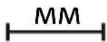 CANDY CA6 N3T1HTB - ОПАЗВАНЕ И ЗАЧИТАНЕ НА ОКОЛНАТА СРЕДА - 8