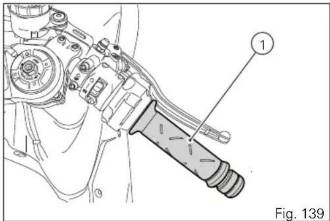 Fig. 139