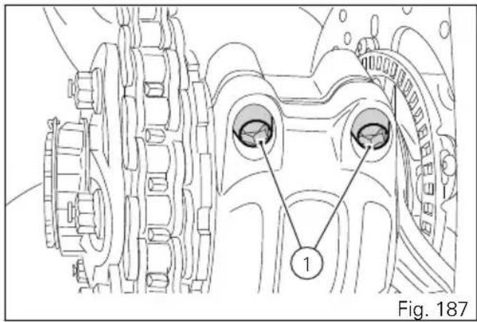 Fig. 187