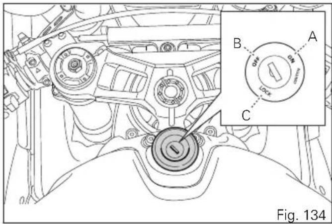 Fig. 134