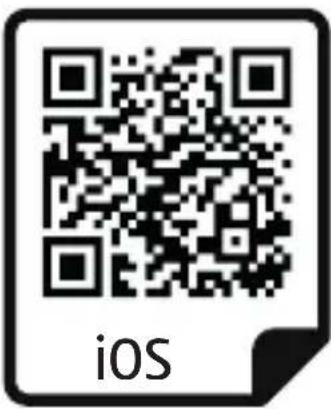 iOS