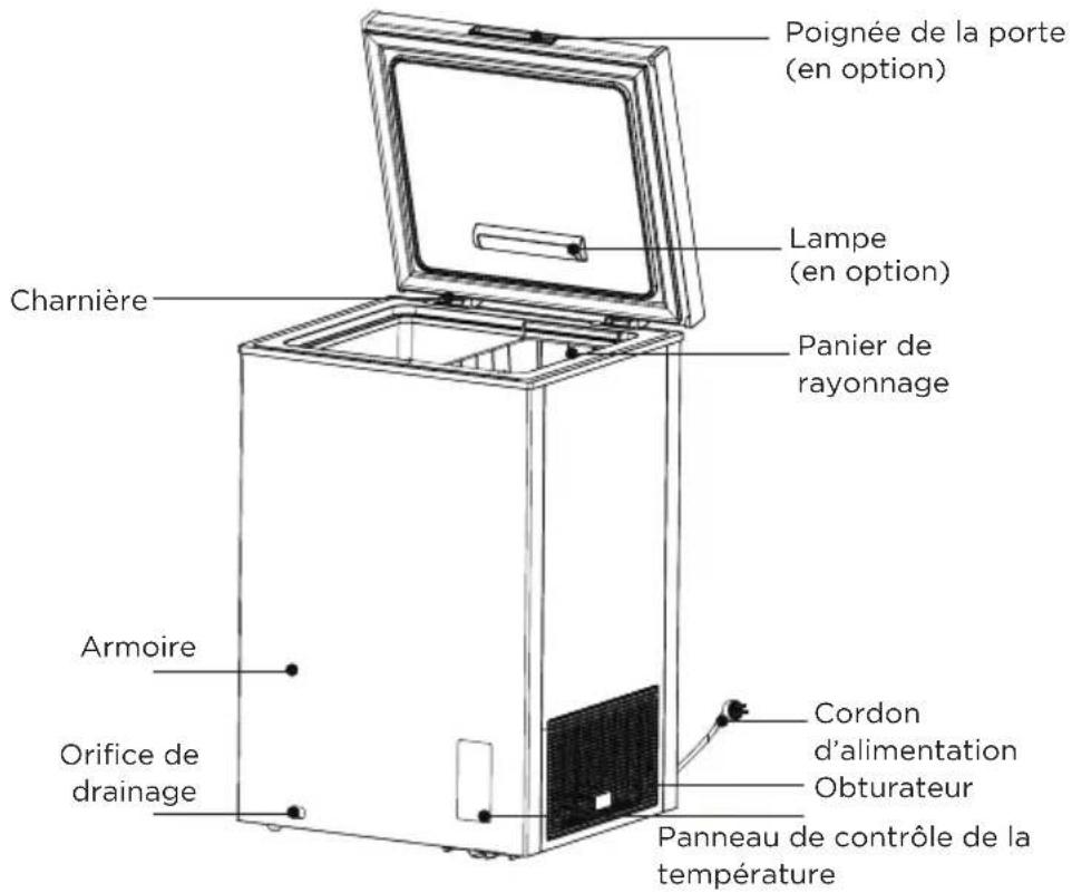 EDESA EZH-4211 - NOMS DES COMPOSANTS - 1