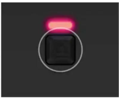 PDP Pro BFG - Cambio del D-pad: - 1
