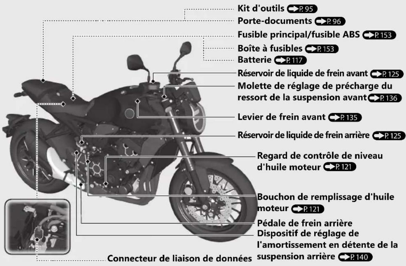 Honda CB1000RA (2024) - Emplacement des pieces - 1