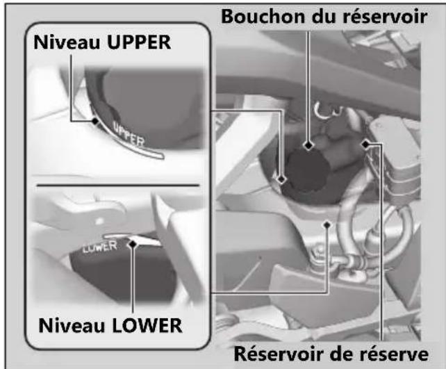 Honda CB1000RA (2024) - Contrôle du liquide de refroidissement - 1