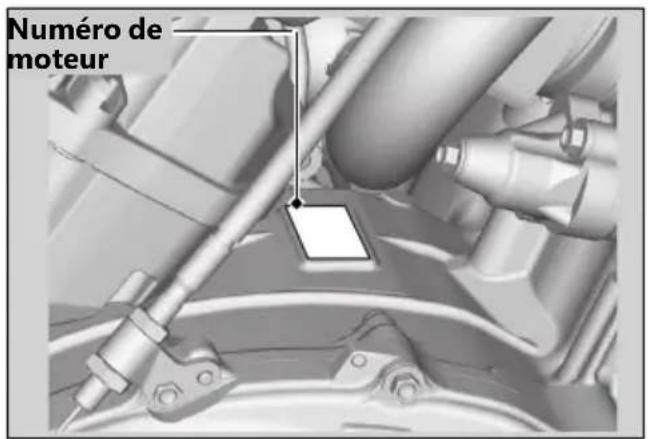 Honda CB1000RA (2024) - Numérodesérie - 2