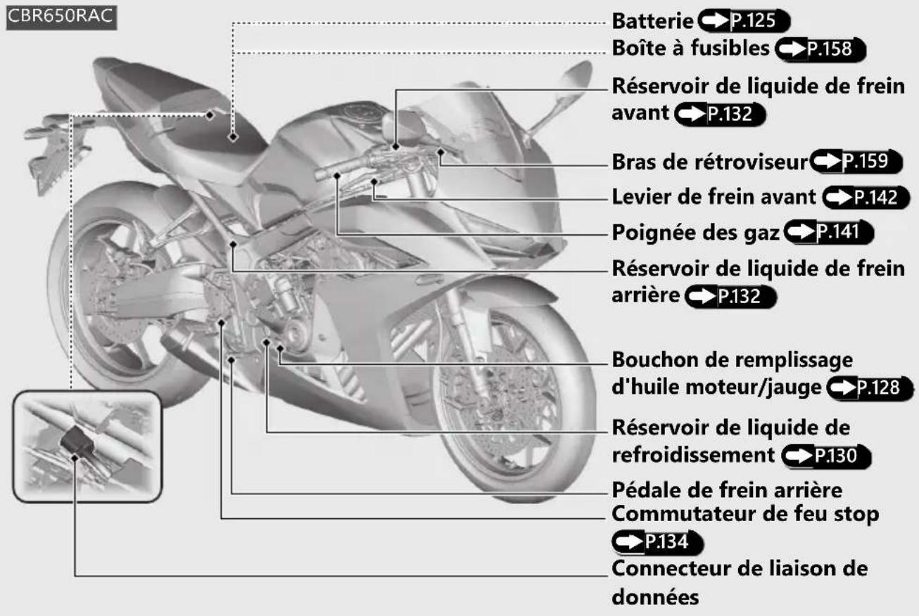 Honda CB650RAC (2024) - ATTENTION - 1