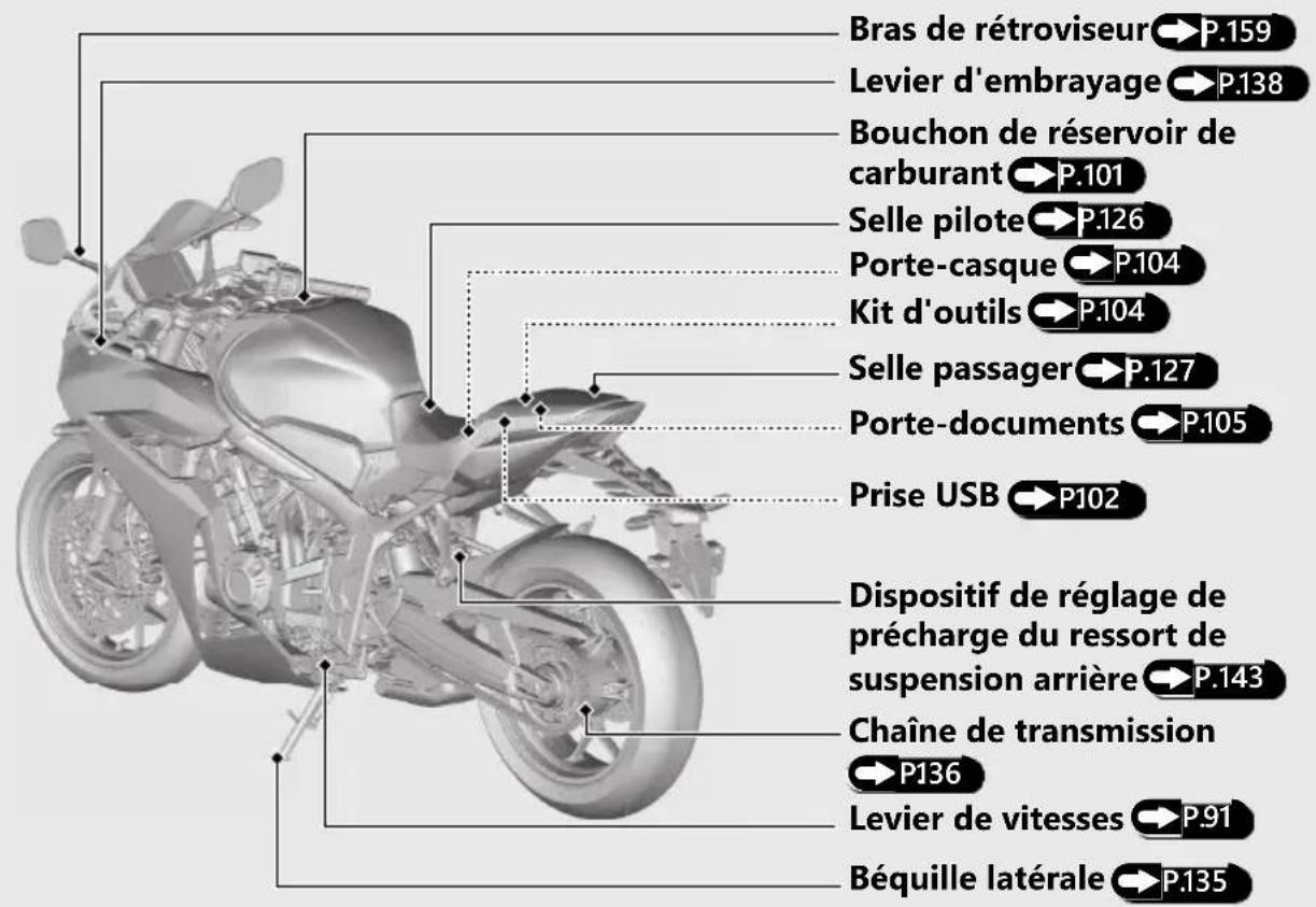 Honda CB650RAC (2024) - ATTENTION - 2
