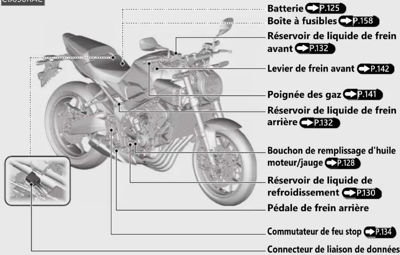 Honda CB650RAC (2024) - Emplacement des composants (Suite page suivante) - 1